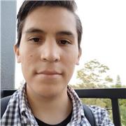 Clases online de EXCEL, se realizan tareas, macros, dashboards, formularios, funciones, tareas de matemáticas programación